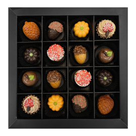 Bonbons geschenkdoos 16 vaks herfst