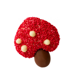 Zakje met paddenstoelen
