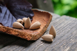 Sandalwood - waterfall incense cones