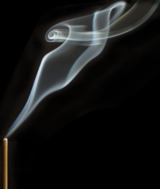 Tokusen Sagano (Sandalwood and Agarwood) - incense sticks