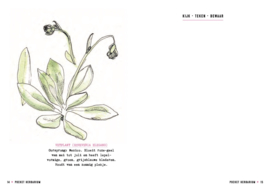 Pocket "Herbarium" - Uitgeverij Snor