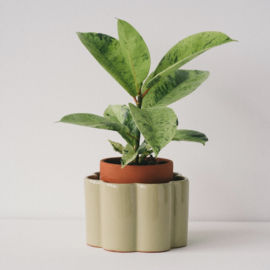 Paula Dubbele Plantenpot Saliegroen - Pepin
