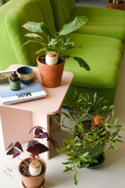 Trio Mini Ollas Natural - Pepin