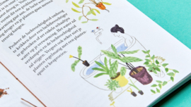 Groene Vingers - Uitgeverij Loopvis