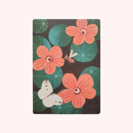 Postkaart Oost-Indische Kers - Madame Ziba