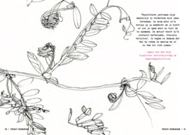 Pocket Herbarium - Uitgeverij Snor