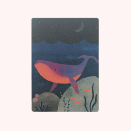 Postkaart Walvis - Madame Ziba