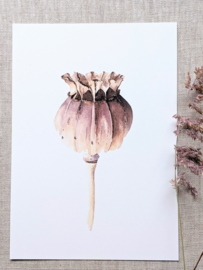 A5 Prent Papaver - Artwork by Madelon