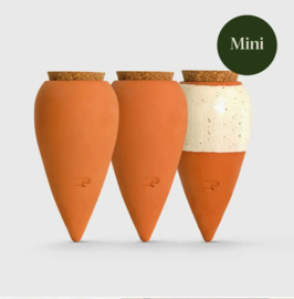 Trio Mini Ollas Naturel - Pepin