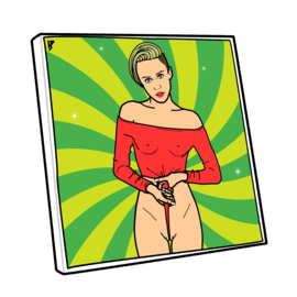 Canvas - De Teen Van Miley