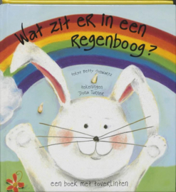 De regenboog