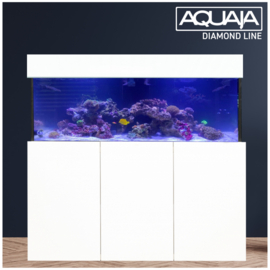 Aquaja Diamond Line XL