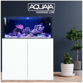 Aquaja Diamond Line 400