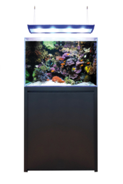 Blue Marine Reef Aquarium 200