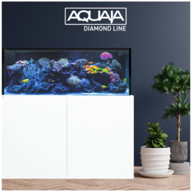 Aquaja Diamond Line 535