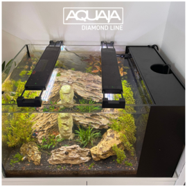 Aquaja Diamond Line Shallow Reef