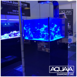 Aquaja Diamond Line Shallow Reef