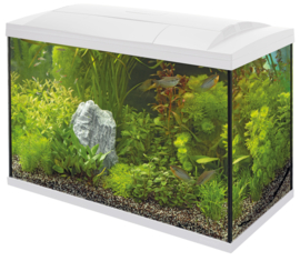 Superfish START 150 Tropical Kit Zwart/Wit