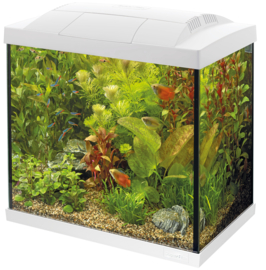 Superfish START 30 Tropical Kit Zwart/Wit