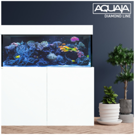 Aquaja Diamond Line 535