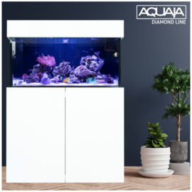 Aquaja Diamond Line 400