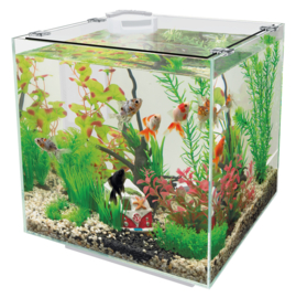 Superfish QubiQ 30 Aquarium Zwart/Wit