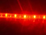 12 volt Led lichtslang rood per 15,24cm