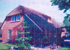 Puzzel 60 stukjes