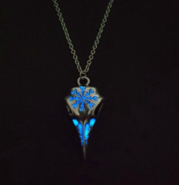 Kraai Schedel - glow in the dark - zilver blauw