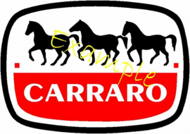 CARRARO logo op vlag van +/- 35X50 cm.