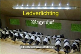 Ledverlichting. - KG050928. - Kids Globe Schaal 1:32