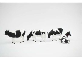 HOLSTEIN-FRIESIAN CATTLE set van 4 stuks AT3200503.1:32