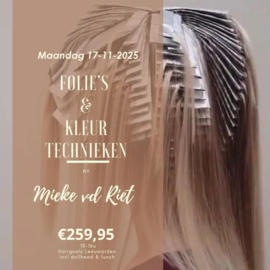 Folies & Kleurtechnieken by Mieke van der Riet - 17 november 2025