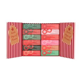 12 Days of Framar - Adventskalender 2025