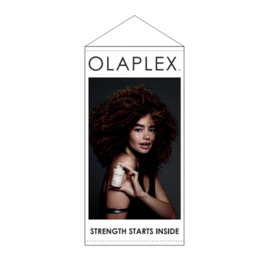 Olaplex Banner - Brunette