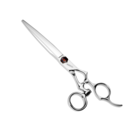 Schaar Convex Master Above C10 / CMCQ Ergo Swivel - 5.5"