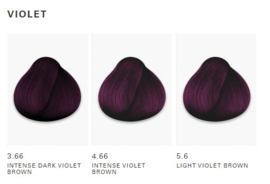 O&M CØR.color - 4.66 Intense Violet Brown - 100 ml