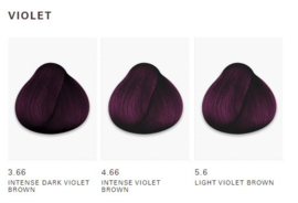 O&M CØR.color - 3.66 Intense Dark Violet Brown - 100 ml