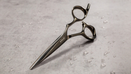 Schaar E- Kwip+ ASE 5.5"