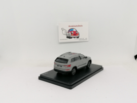 Skoda Kodiaq FL 2021 matgrijs