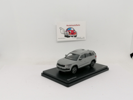 Skoda Kodiaq FL 2021 matgrijs