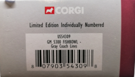 GM 5300 Fishbowl  "Gray coach lines"