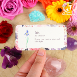 Flower Petals - Mini Cards