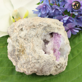 SPECIAL!! Spirit Flower nr. 155