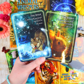 Animal Whispers Empowerment Cards