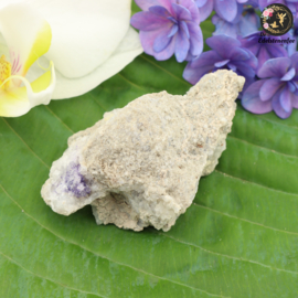 SPECIAL!! Spirit Flower nr. 57