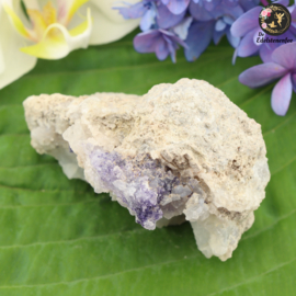 SPECIAL!! Spirit Flower nr. 148