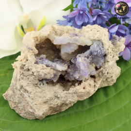 SPECIAL!! Spirit Flower nr. 154