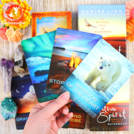 Native Spirit Oracle Cards