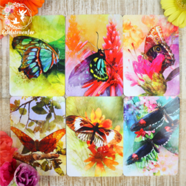 Butterfly Affirmations Cards